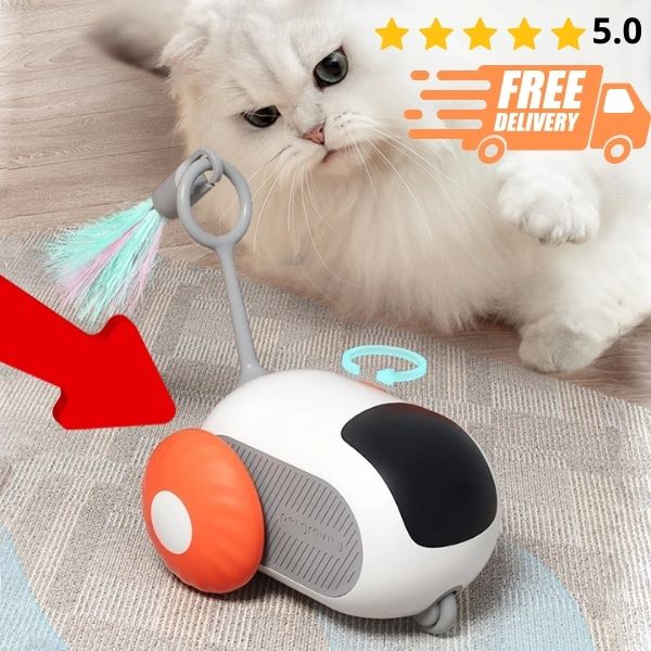 Intelligent Remote Control Sports Car Cat Toy